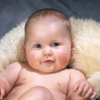 Klik voor de volledige foto